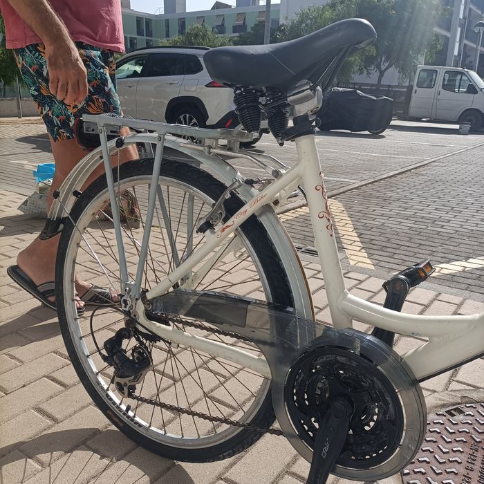 Vendo Bicicleta modelo Pasteleira