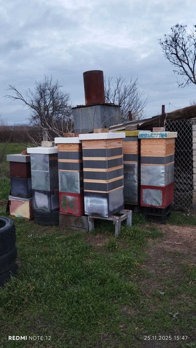 Продам пасіку 100шт