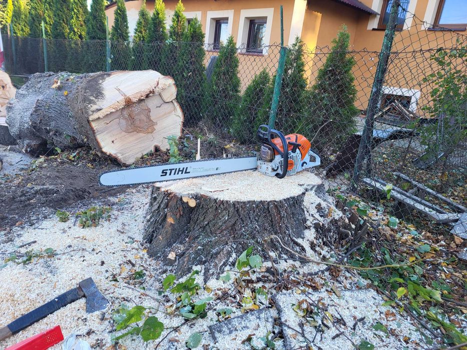 Wycinka drzew i krzewów, frezowanie pni, rębak, mulczer