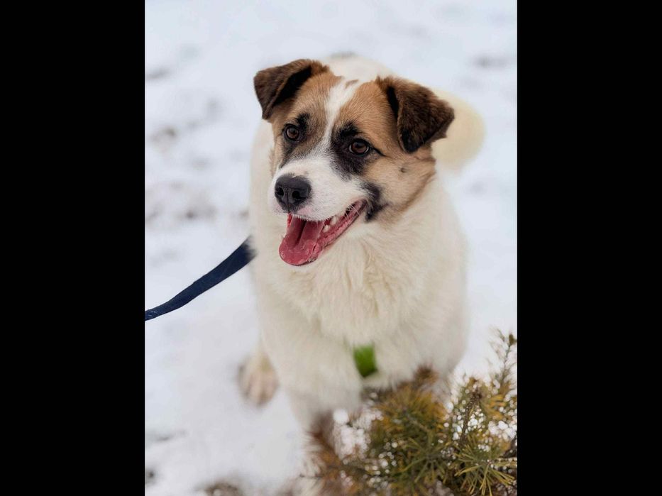 Młodziutki,malutki ,cudowny,tak długo czeka.