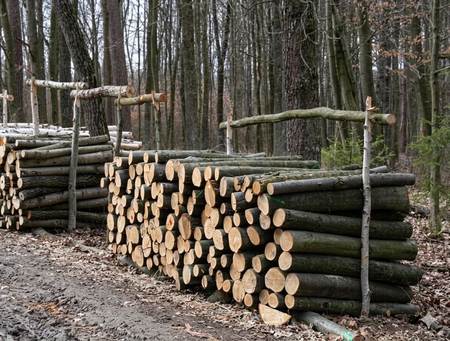 Дрова дубові, вільхові, березові. Чесний метраж та щільна укладка. Швидка доставка в день замовлення! Дзвоніть! 7/10/55 м3