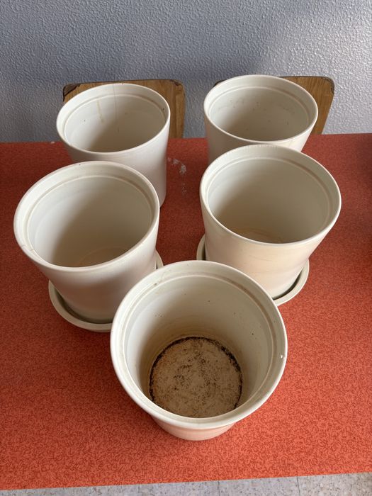 Conjunto de 5 vasos brancos