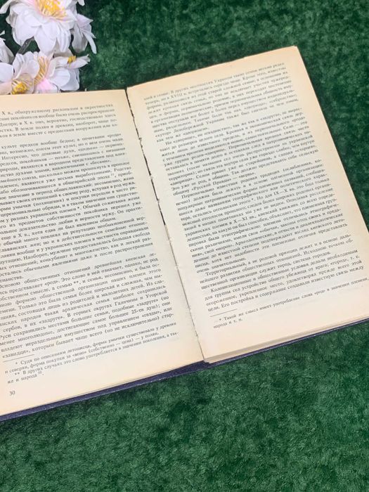 Книга Памятники исторической Украины. Очерк истории украинского народа