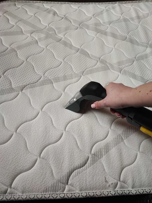 Миючий пилосос Karcher. Оренда / Прокат. Доставка безкоштовна.