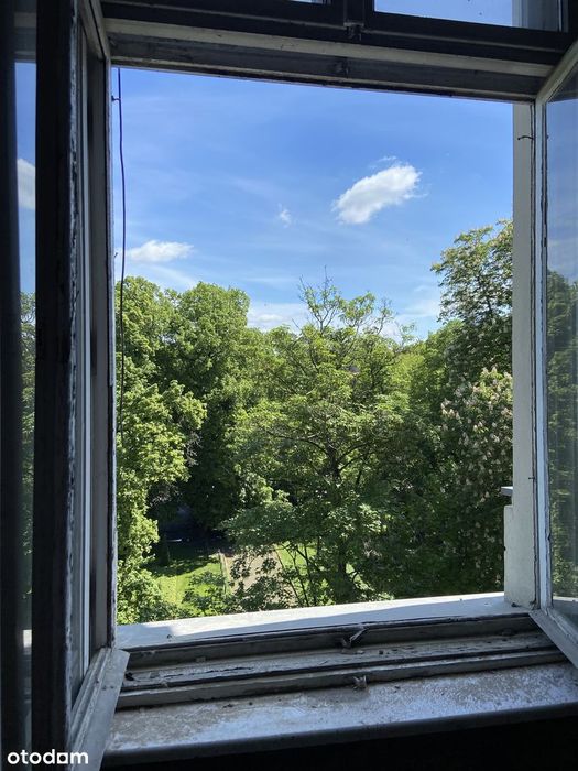 Łazarz mieszkanie kamienica 50m² 3,7m wysokości widok na Park Wilsona