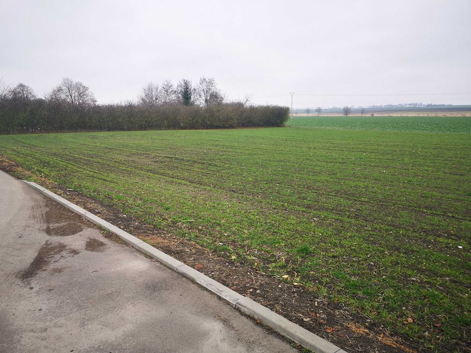 Działka Budowlana Machnów Nowy