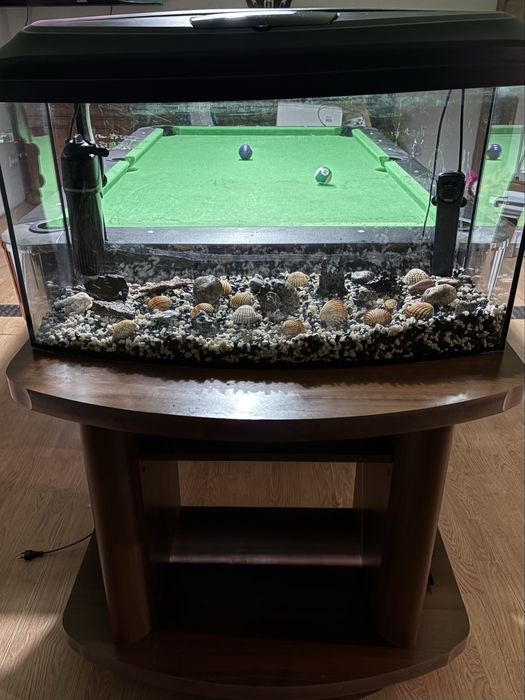 Zestaw Akwarium 96L z szafką + osprzęt i dodatki (Muszle z Włoch!)