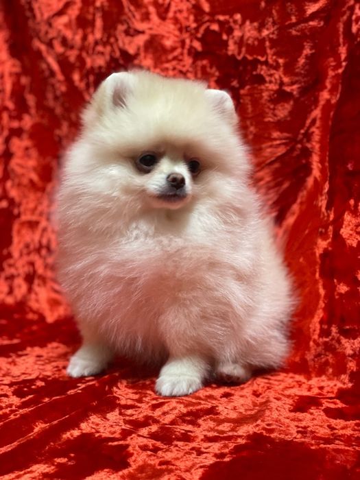 Наш ребёнок  ждёт именно вас