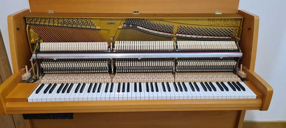 Profesjonalne, najlepsze pianino Grotrian Steinweg 1996 r. + silent