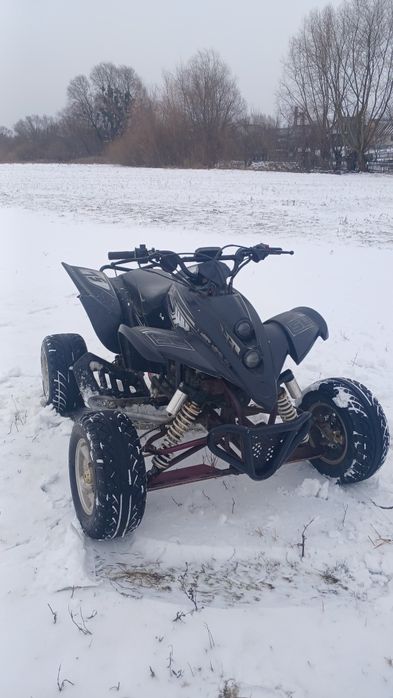 Квадроцкл шенрей 250