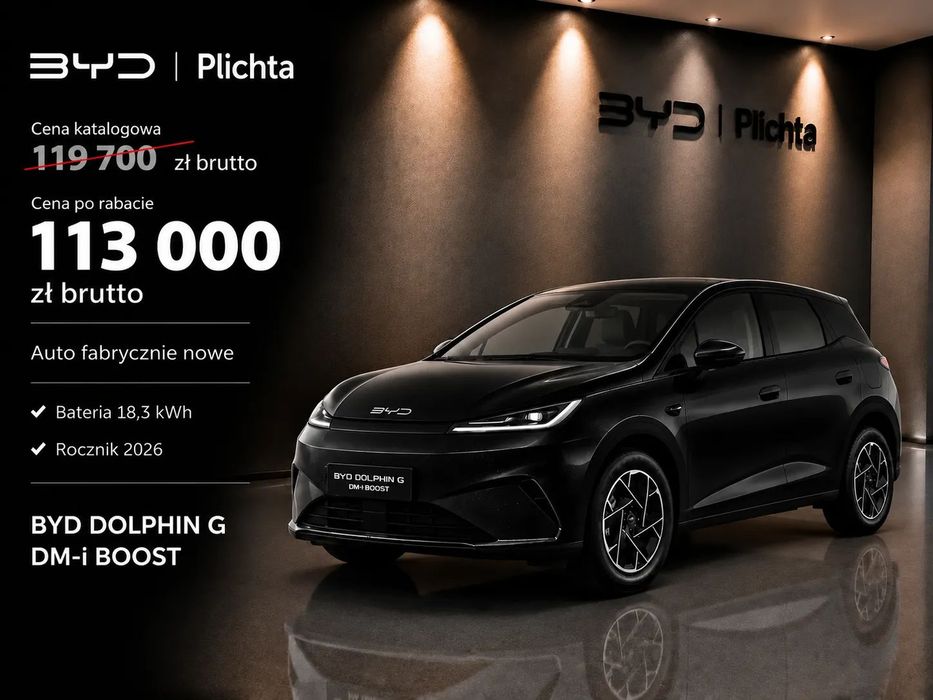 BYD Pozostałe BYD