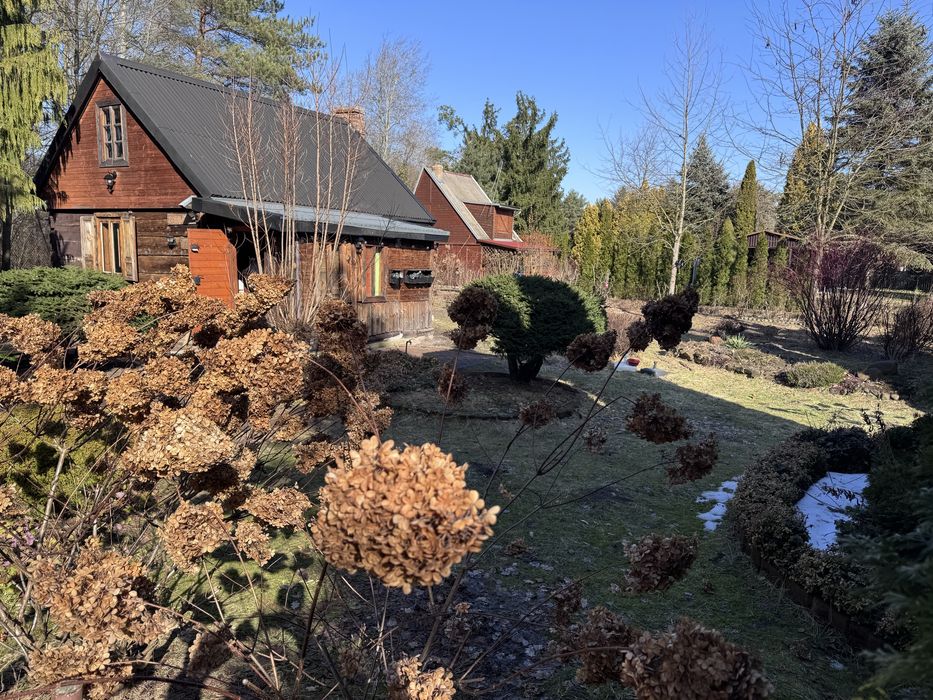 Prześliczna  duża dzialka RODos Żabieniec - 630m2!!!