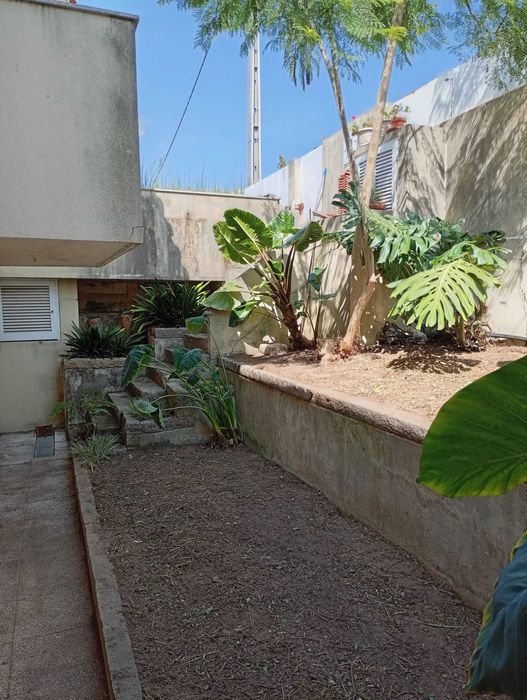 Serviços de Jardinagem e Limpeza de Terrenos - Manuel Santos