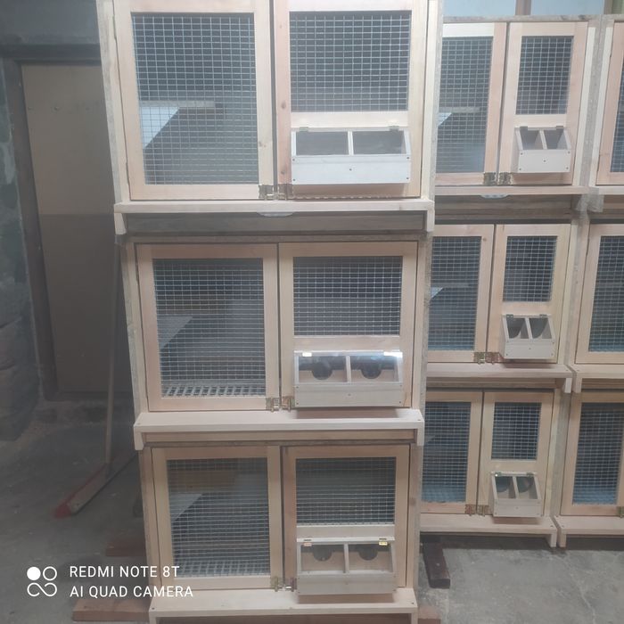 Boxy, cele rozpłodowe dla gołębi XXL