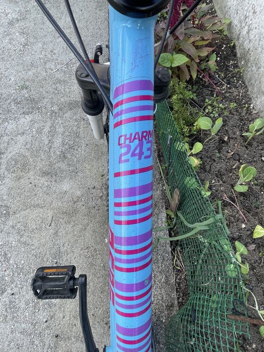 Bicicleta Berg para crianca roda 24