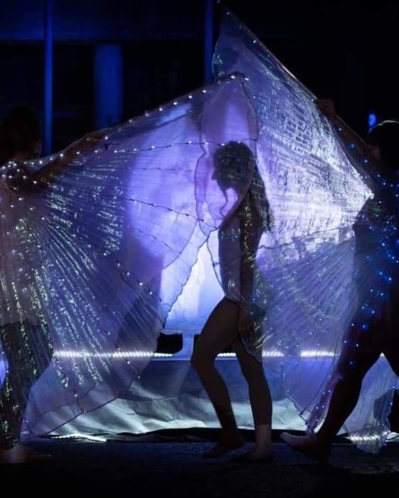 Animação Mr.Milk - Espetáculos Eventos Lda