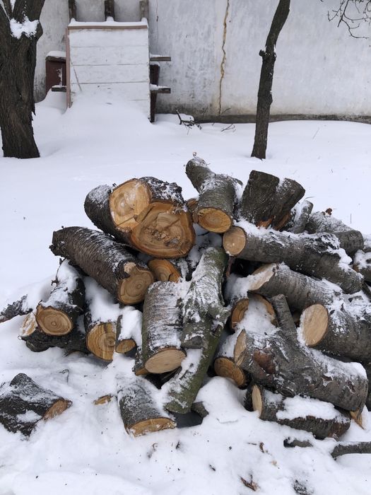 Продам дрова Черешня