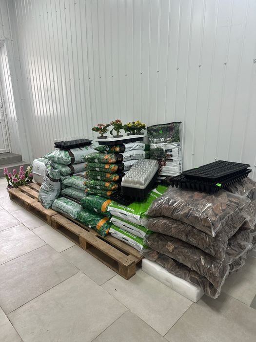 Насіння F1, syngenta, bejo ,sakata,E.ZADEN,томат, огірок , буряк …