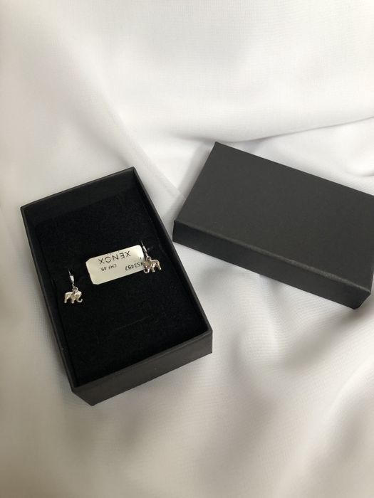 Срібні дитячі сережки Xenox, срібло, цирконій