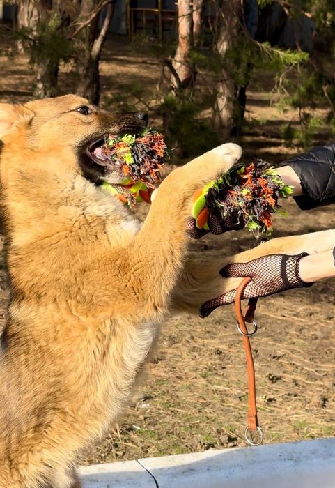 Чудовий хлопчик шукає сім'ю