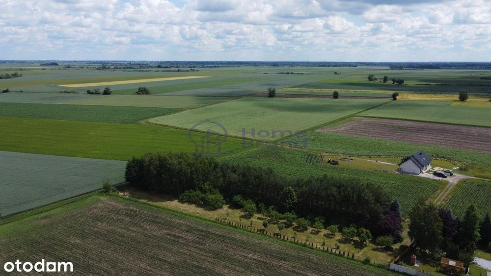 Działka budowlana 15 a | Pławna - Widok 5