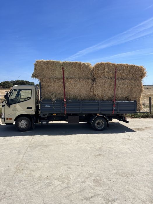 Vende-se feno semeado ESPECIAL