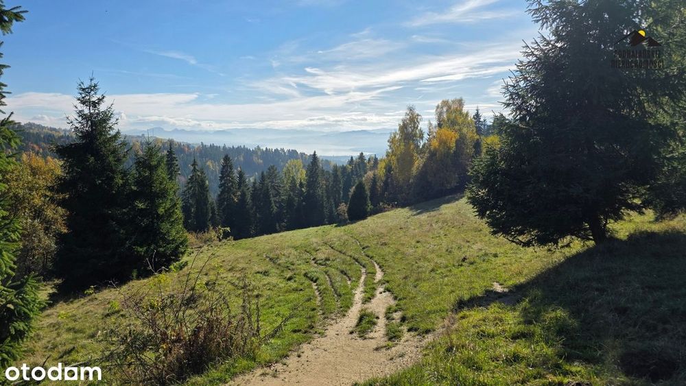 Widokowa polana w Gorcach