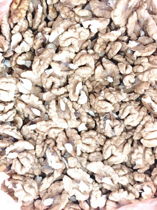 Грецький горіх, волоський, продам, 2025