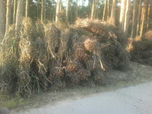 tarnina wiązki do tężni  solankowej od ręki