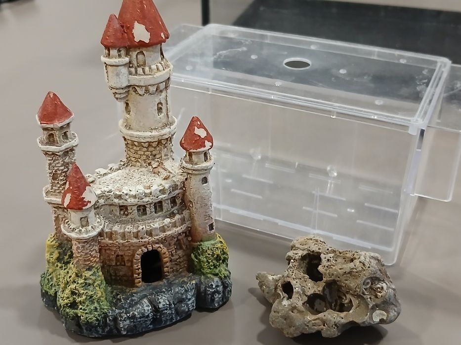 Aquário Aquatlatins