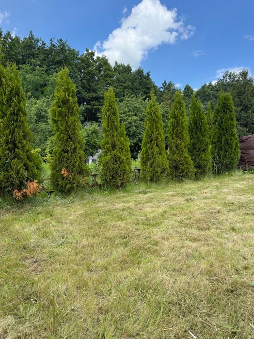 Ogródek działkowy