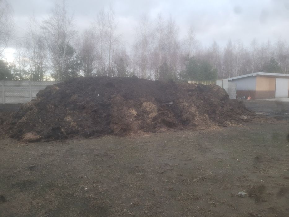 Obornik kurzy kurzak