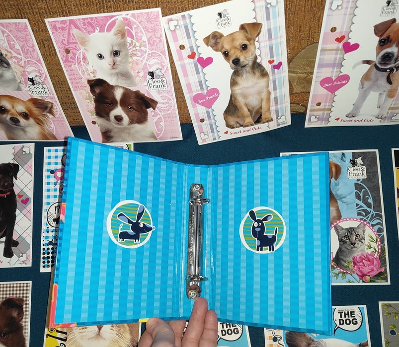 NOWY zestaw karteczek do segregatora i Nowy segregator.