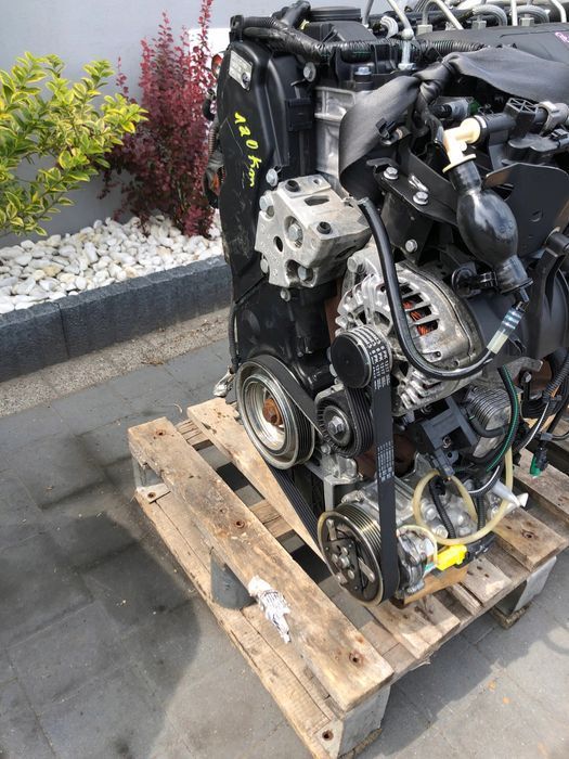 Peugeot citroen  Delphi Silnik 2.0 hdi RHF RH01 RHR
