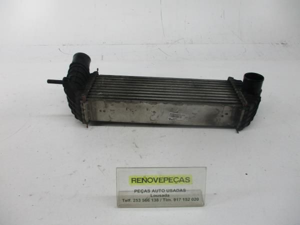 Radiador do intercooler RENAULT Clio III (BR0/1, CR0/1)