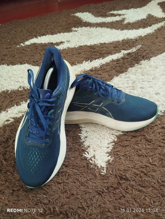 Кросівки asics GT 2000 12