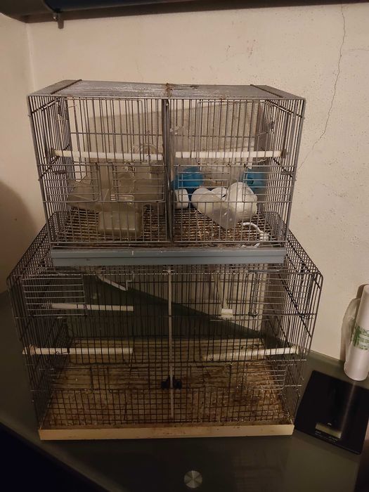 Gaiola para papagaio