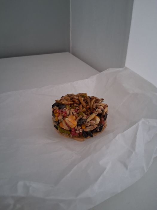 Zestaw dla chomika +jedzenie