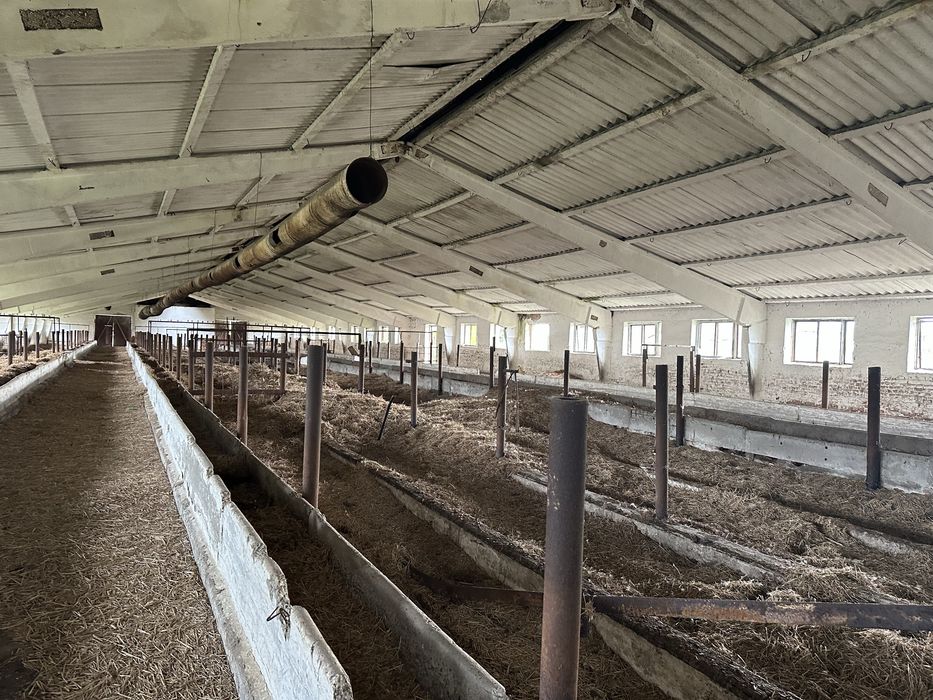 Продам ферму в с. Живачів від Власника, споруди 20,400м2, 16,1га землі
