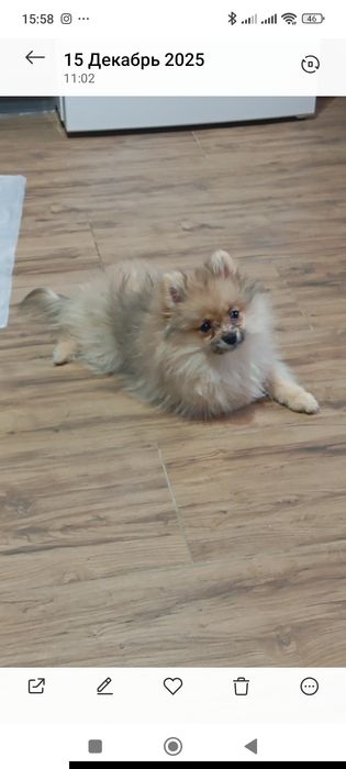 3000 грн.Акция до Різдва та Нового Року!!