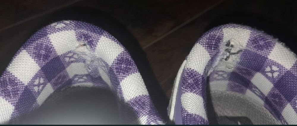 Кросівки Nike Dunk Low Lobsters