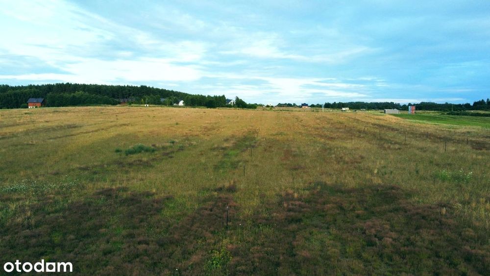 Budowlana, obok las i pole golfowe. Media i droga w trakcie realizacji