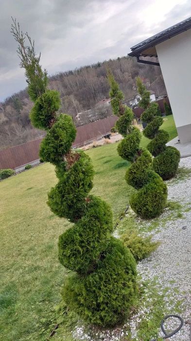 Професійна стрижка рослин і газонів, розчищення ділянок