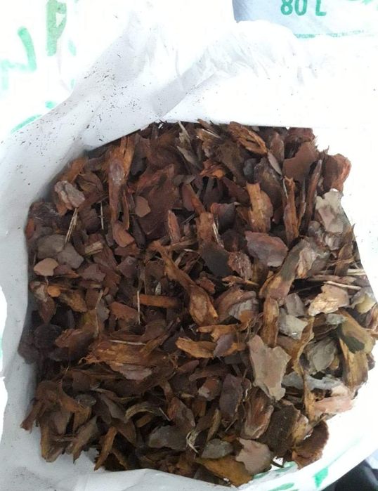 Sprzedam korę sosnową