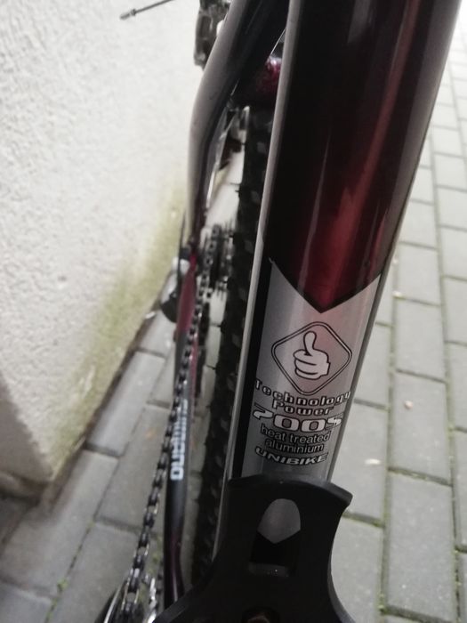 Rower męski/chłopięcy UNIBIKE