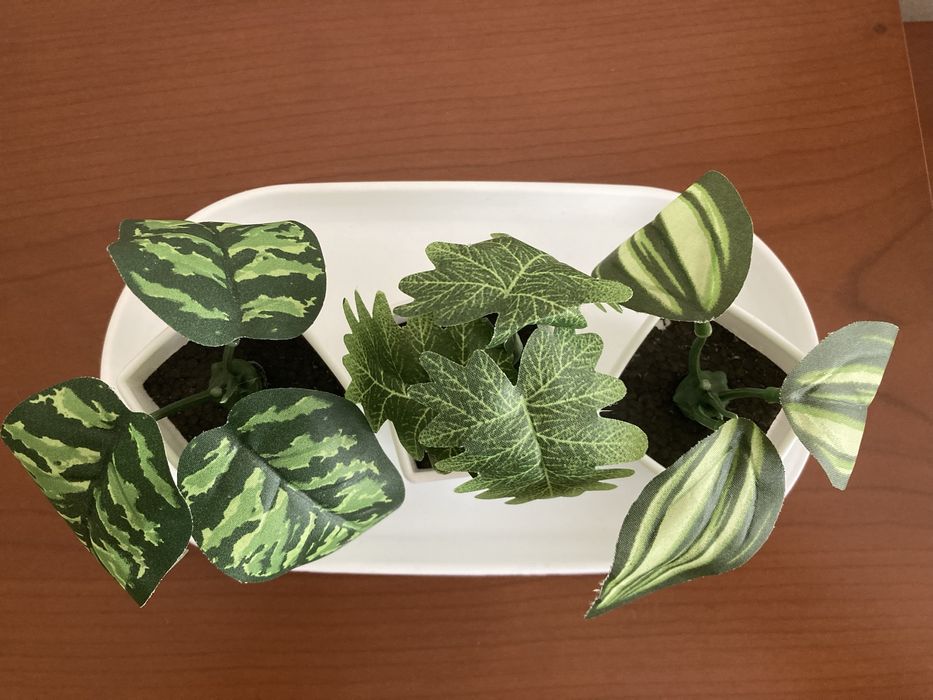 Plantas mini artificias c/prato