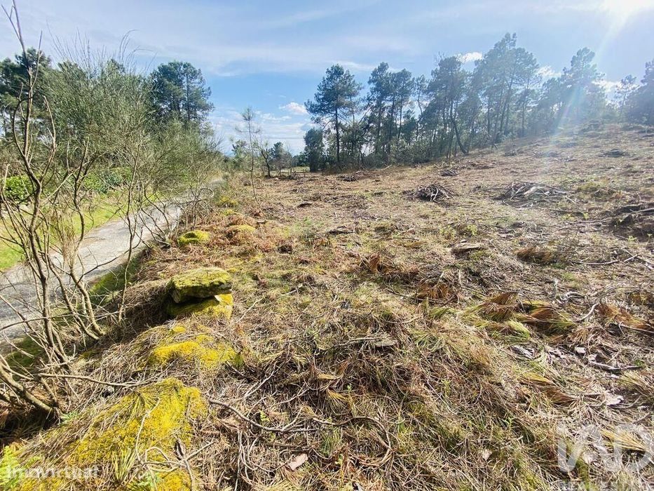 Terreno para construção em Mouçós e Lamares de 3484,00 m2