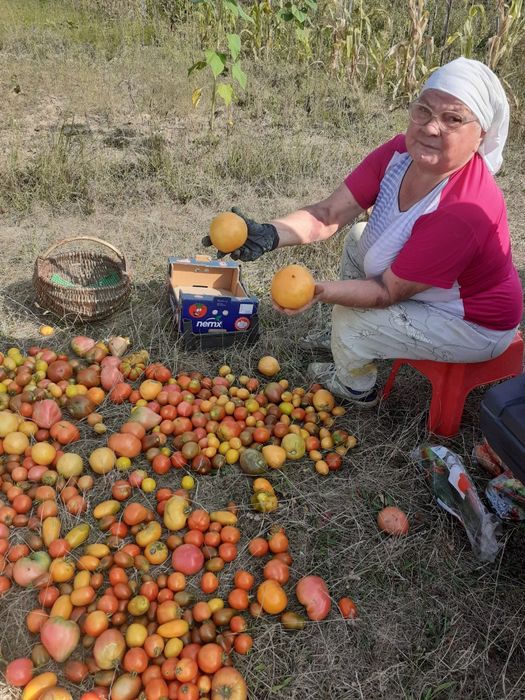 Квашені огірки та помідори.