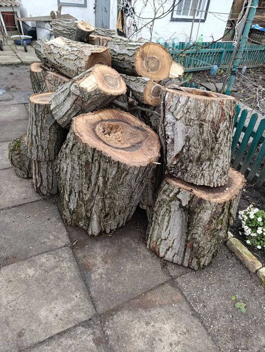 Продам дрова (горіх)