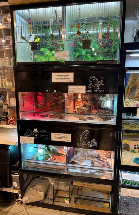 Regał zoologiczny hodowlany: terrarium x4, woliera x2 sklep zoologiczny